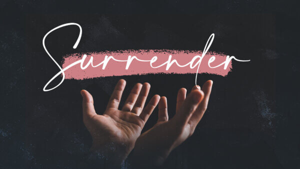 Why Would I Surrender Image